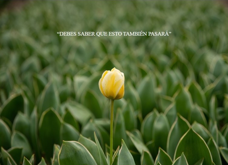 Enfermedad mental y suicidio